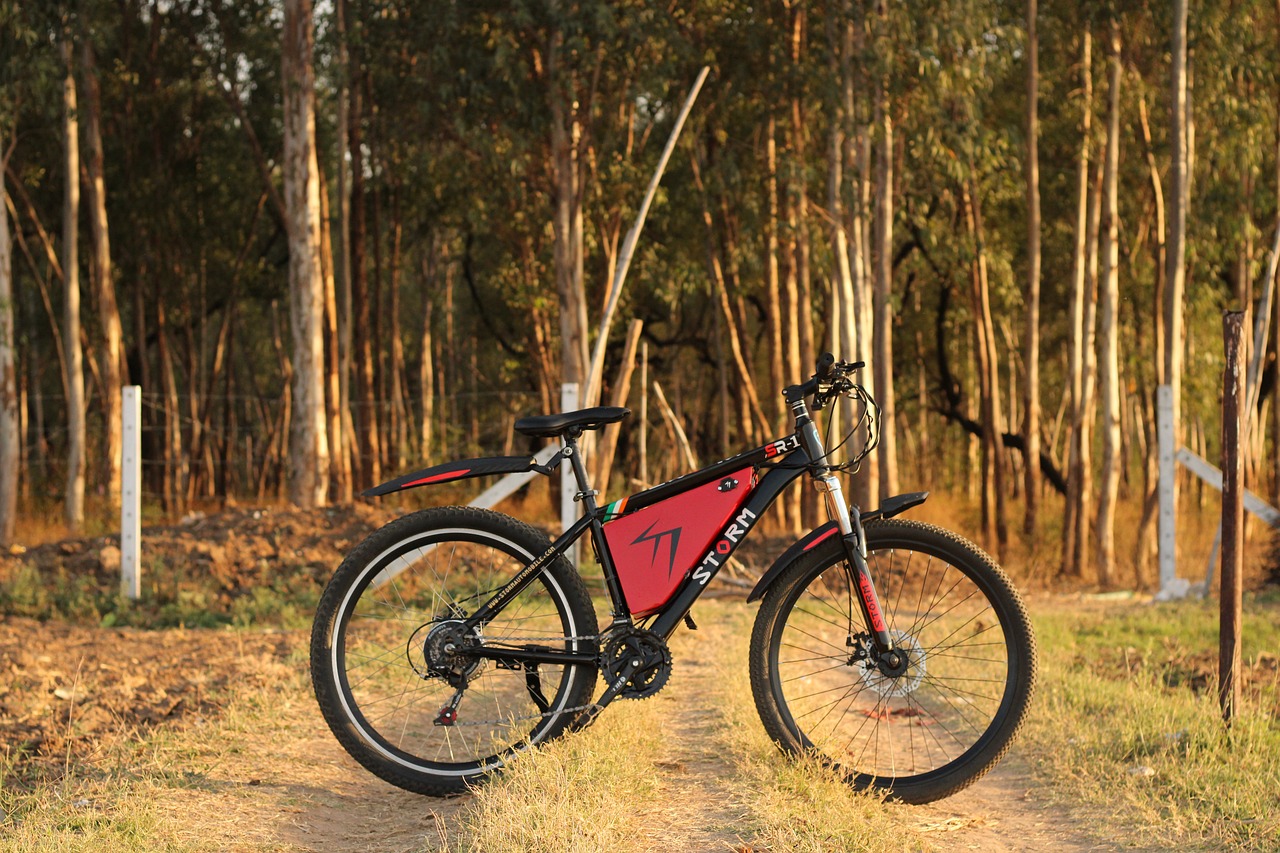 Modernes E-Bike mit leistungsstarkem Mittelmotor auf alpiner Bergstrecke
